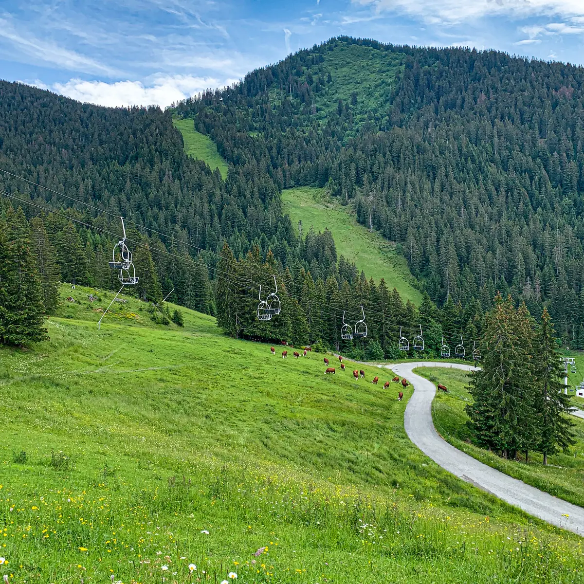 Vue sur les pistes de Braitaz - La Chapelle d'Abondance