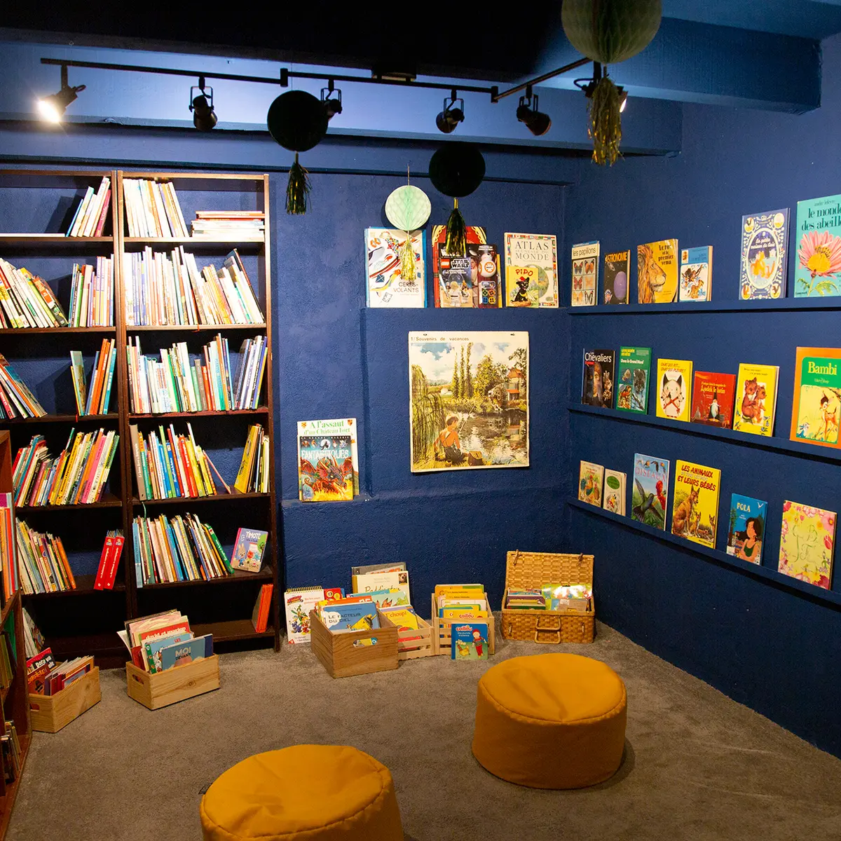 espace librairie