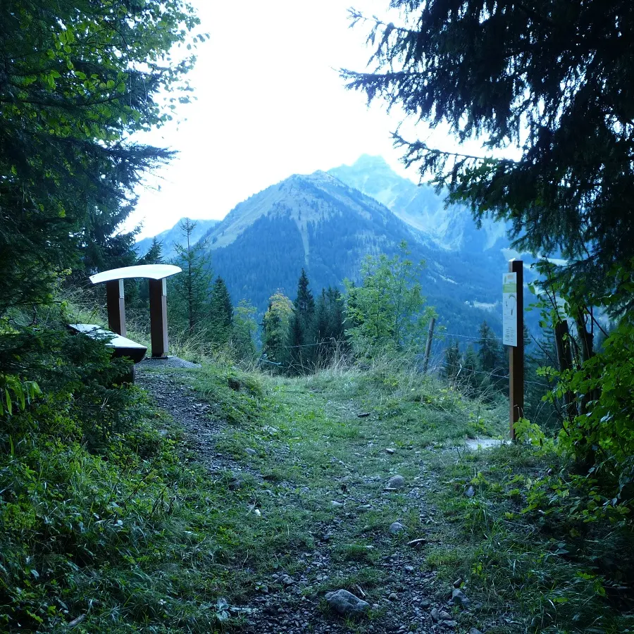 Point de vue