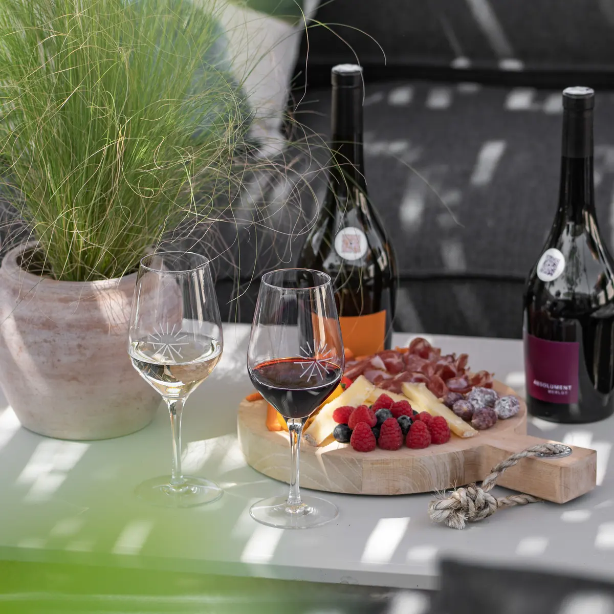 dégustation de vins, huiles d'olive et planche gourmande aux Terrasses d'Adrien_Sannes