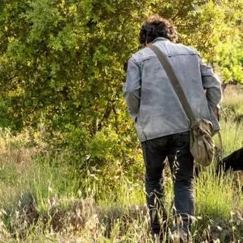 Démonstration de cavage