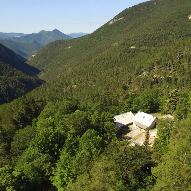 Retrouvance® Musique au cœur des forêts_Montmaur