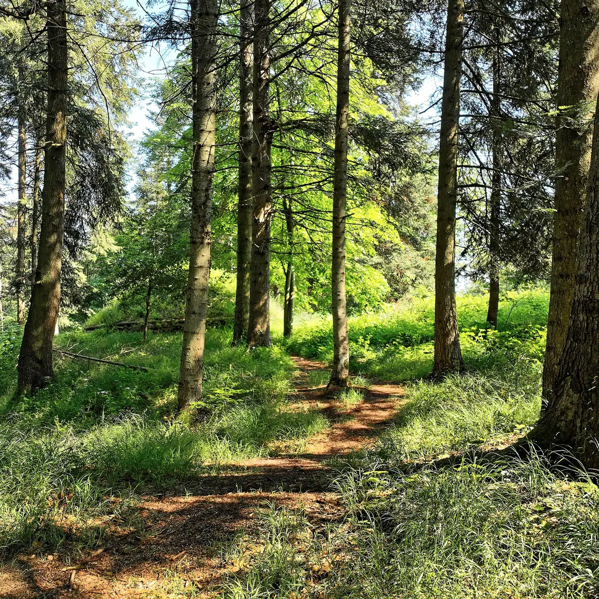 Parc de Maubourg - Saint-Maurice-de-Lignon