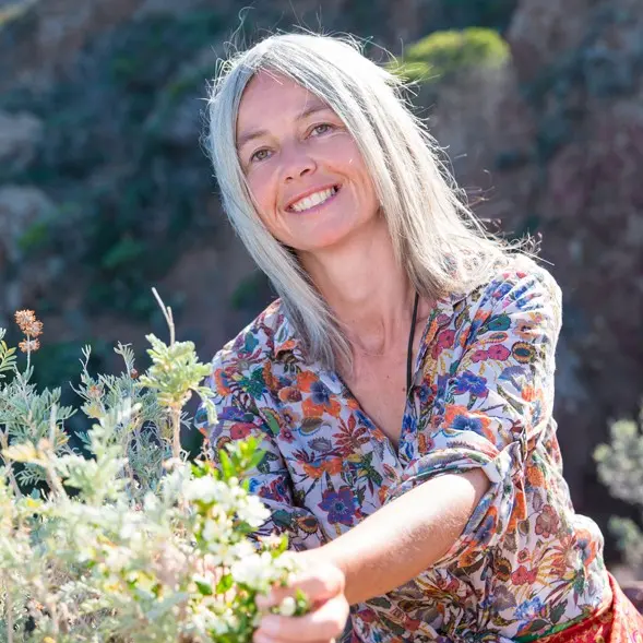 La vallée de l'Endre et ses pins parasols_Roquebrune-sur-Argens