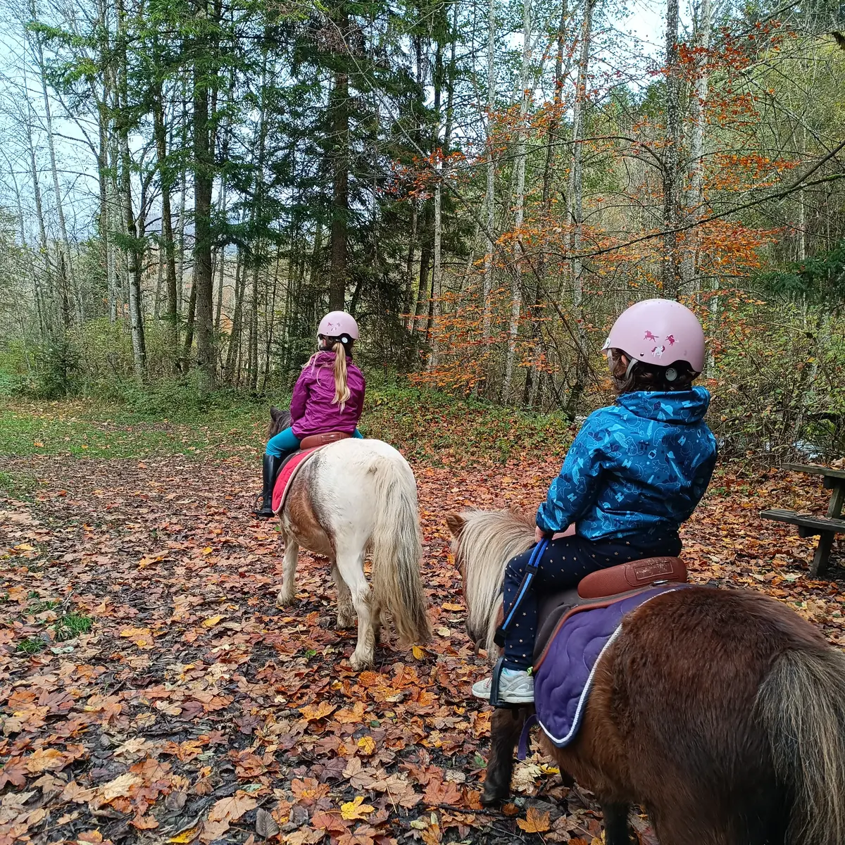 groupe d'enfant à dos de poney