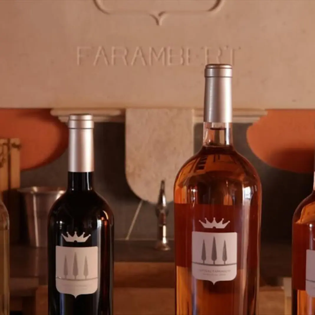 AOP Côtes de Provence rouge rosé et blanc