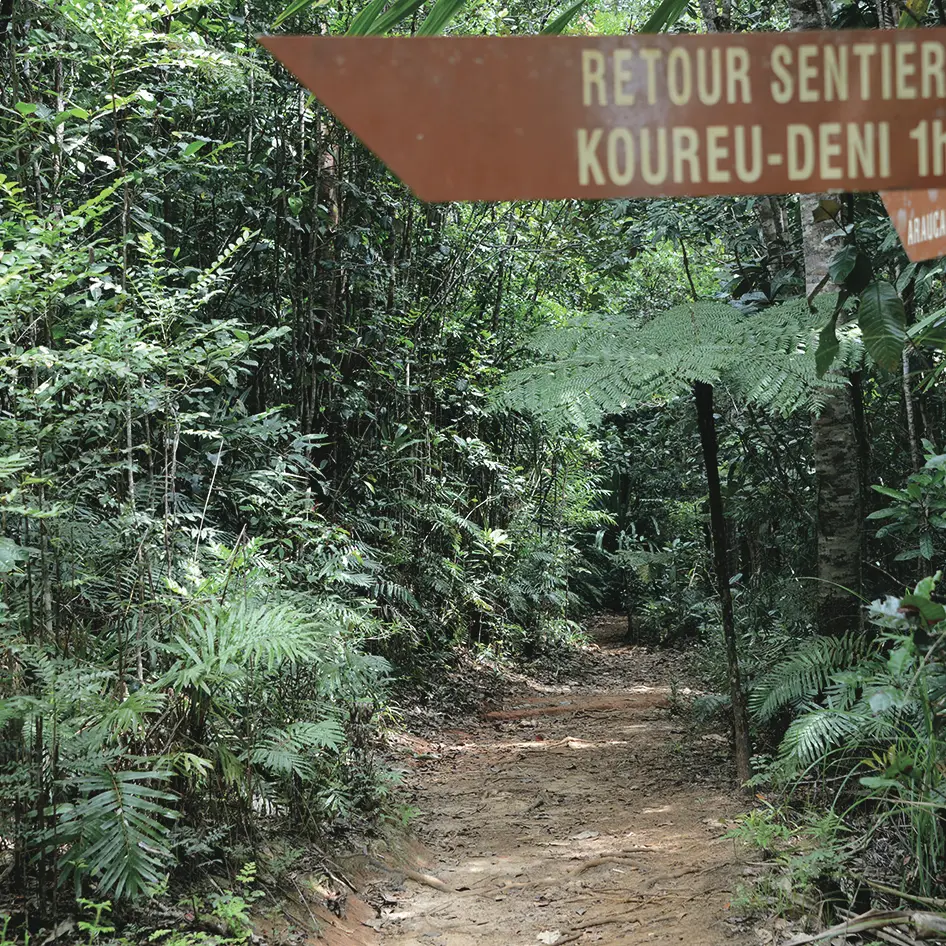 Le sentier Koureu Deni