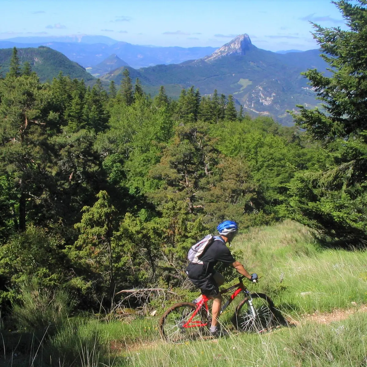 En pleine nature, dans le Val d'Oule