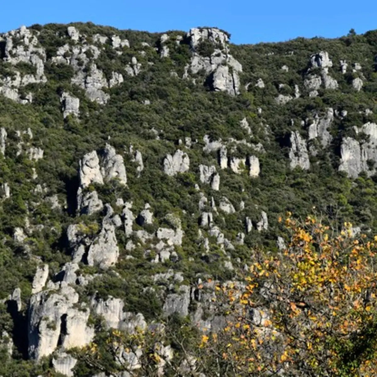 Rochers des Friginiaires