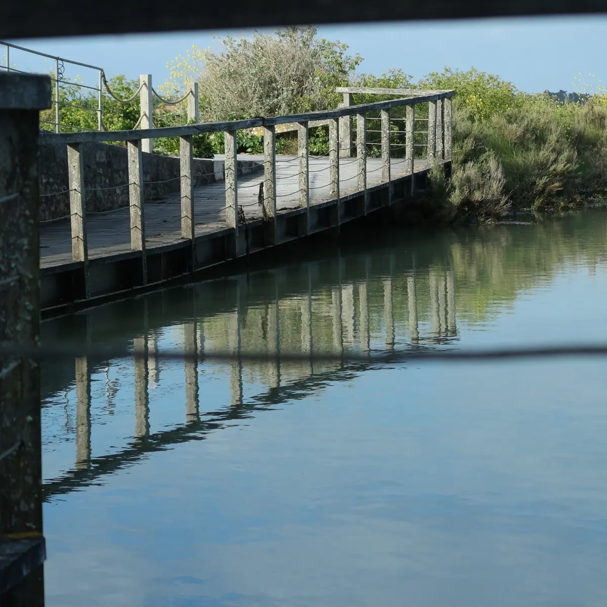 les balades immersives