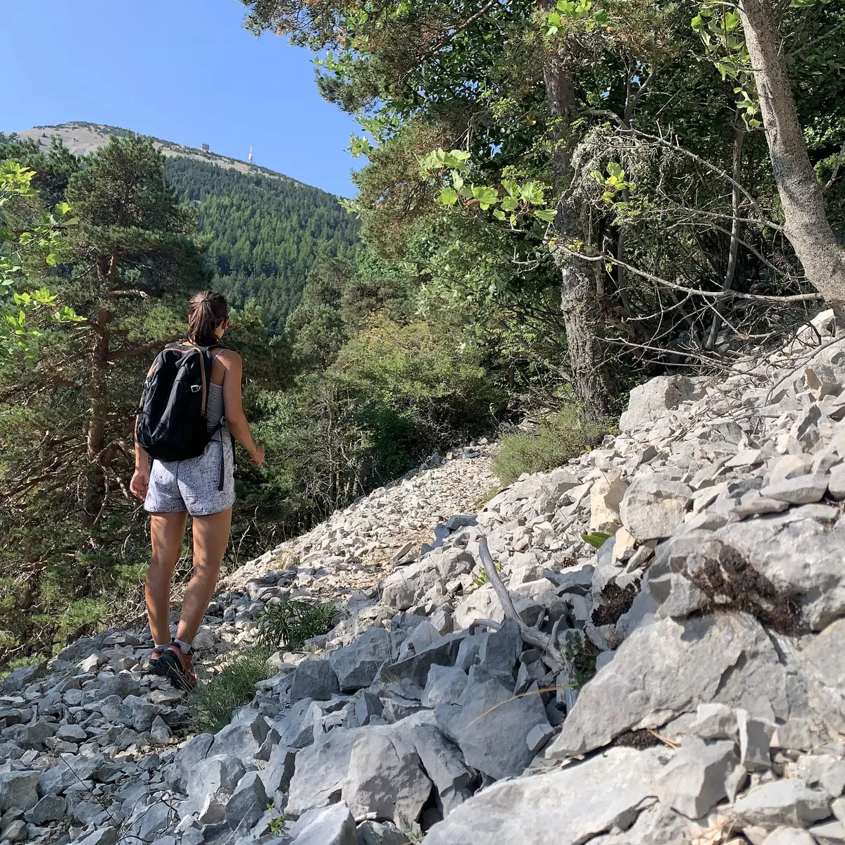 Ascension vers le sommet