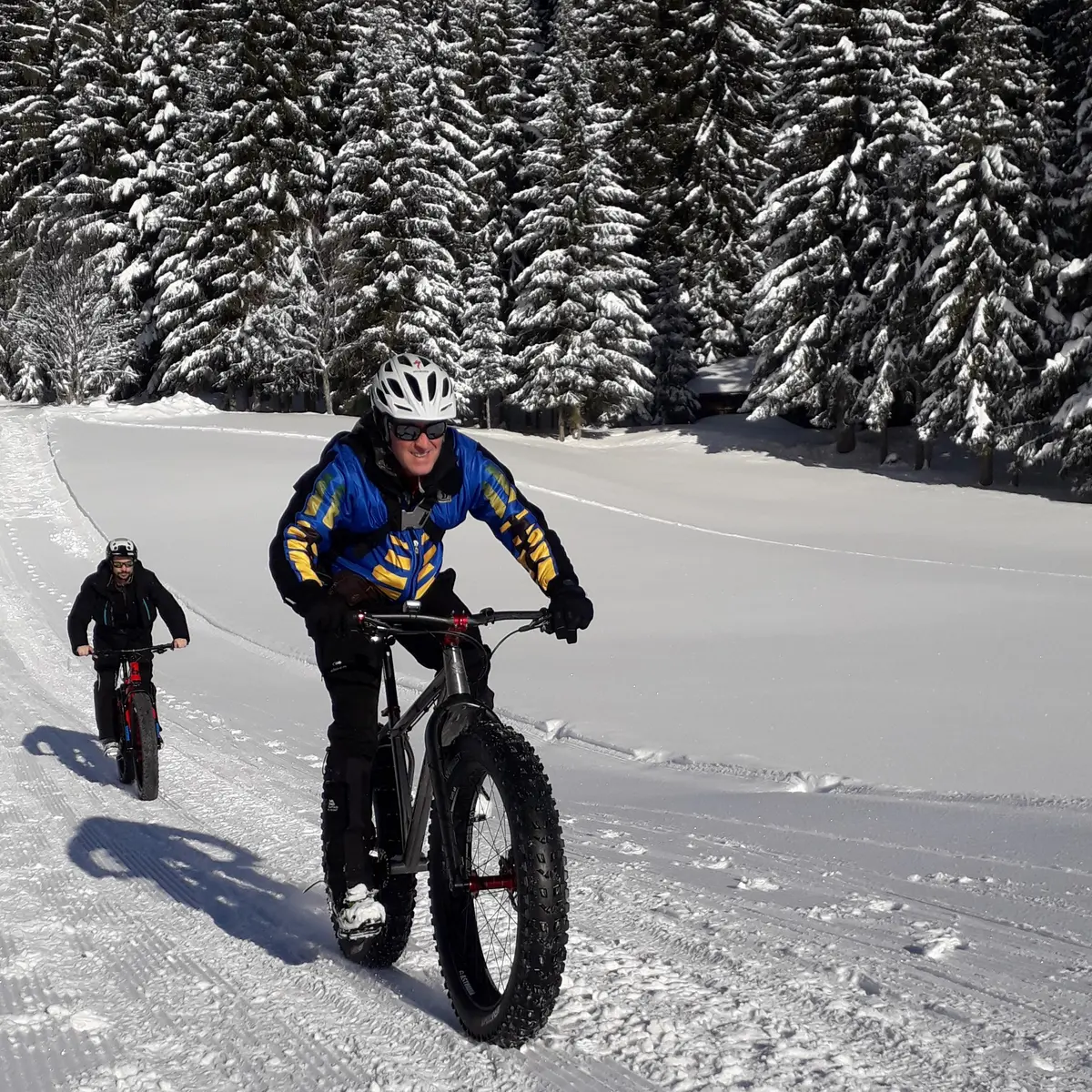 Fat Bike