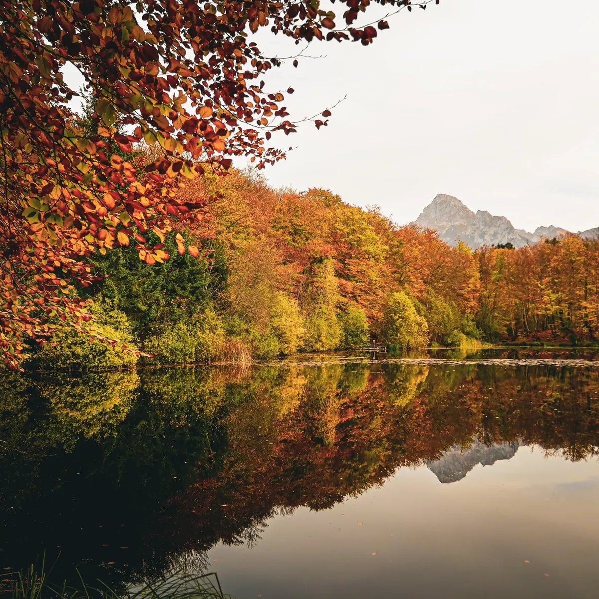 Paysage automnal