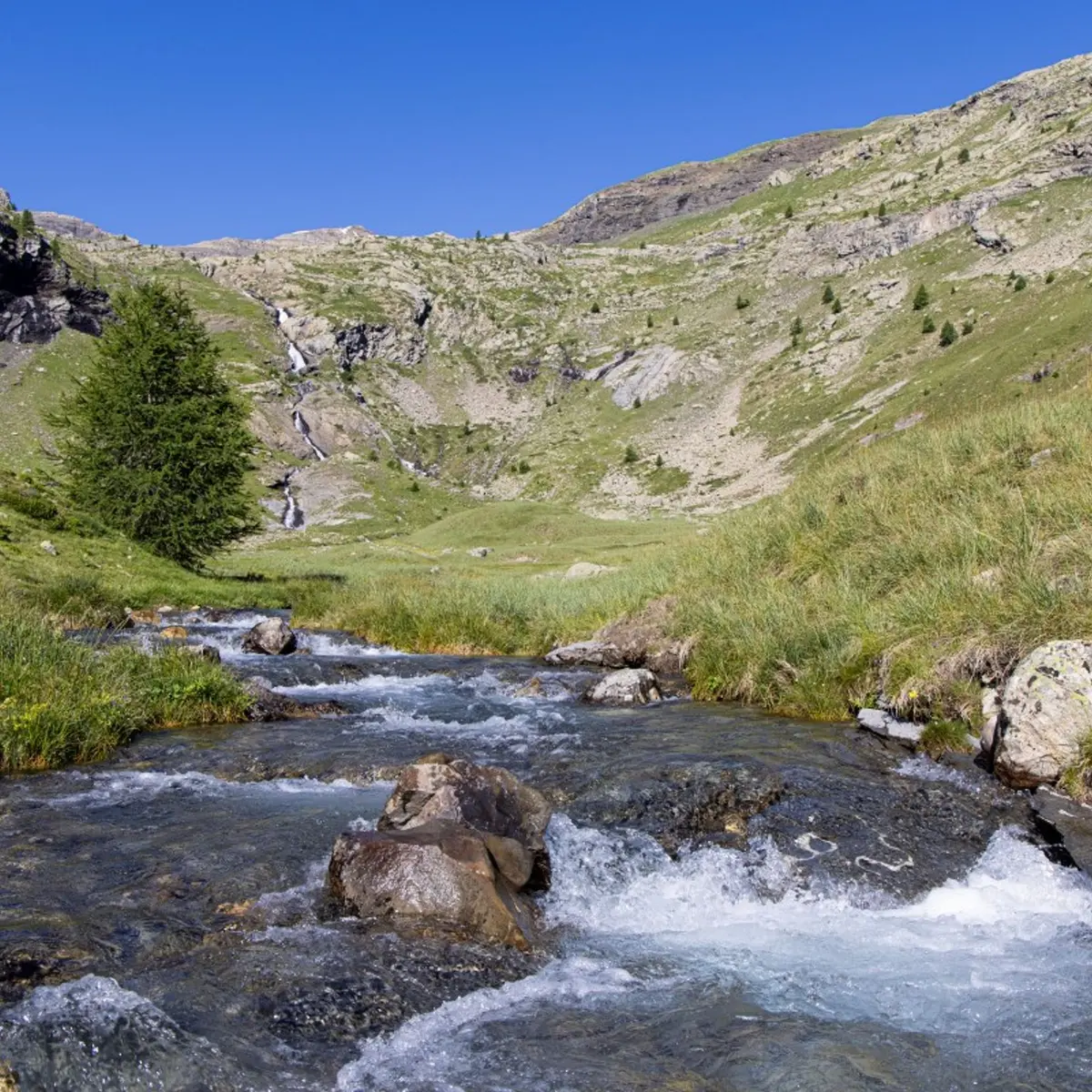 Sur le sentier des lacs Palluel et Faravel