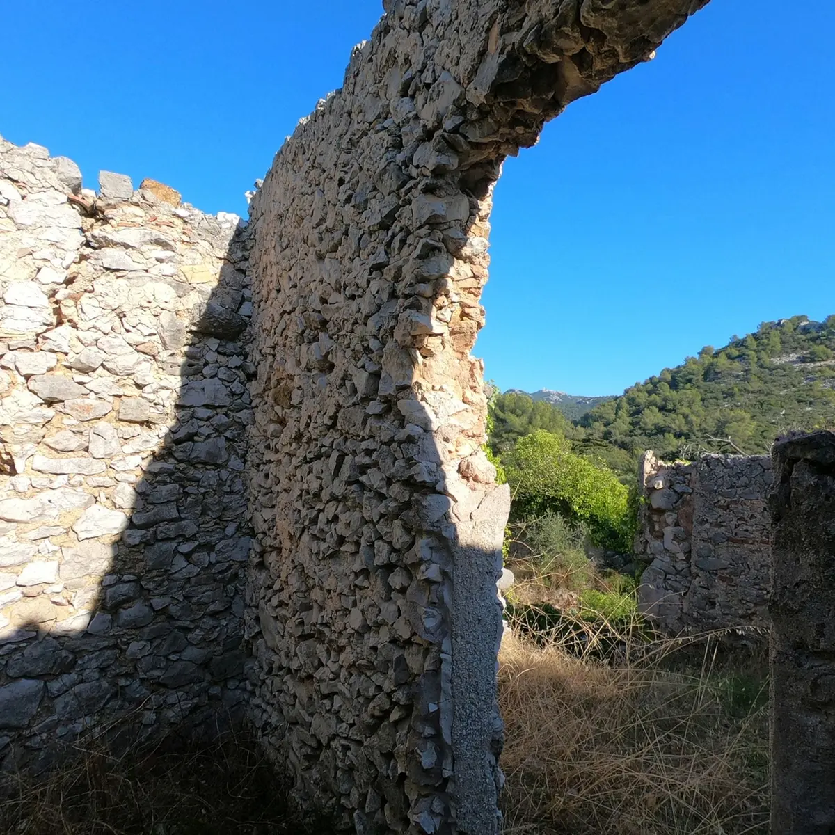 Vestige d'une habitation en pierres