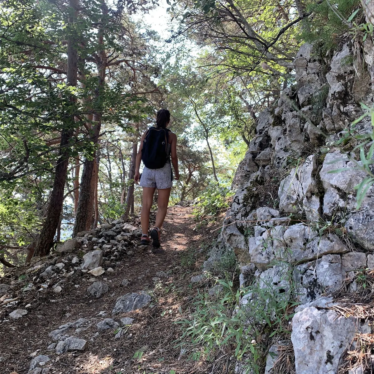 Sentier en sous bois