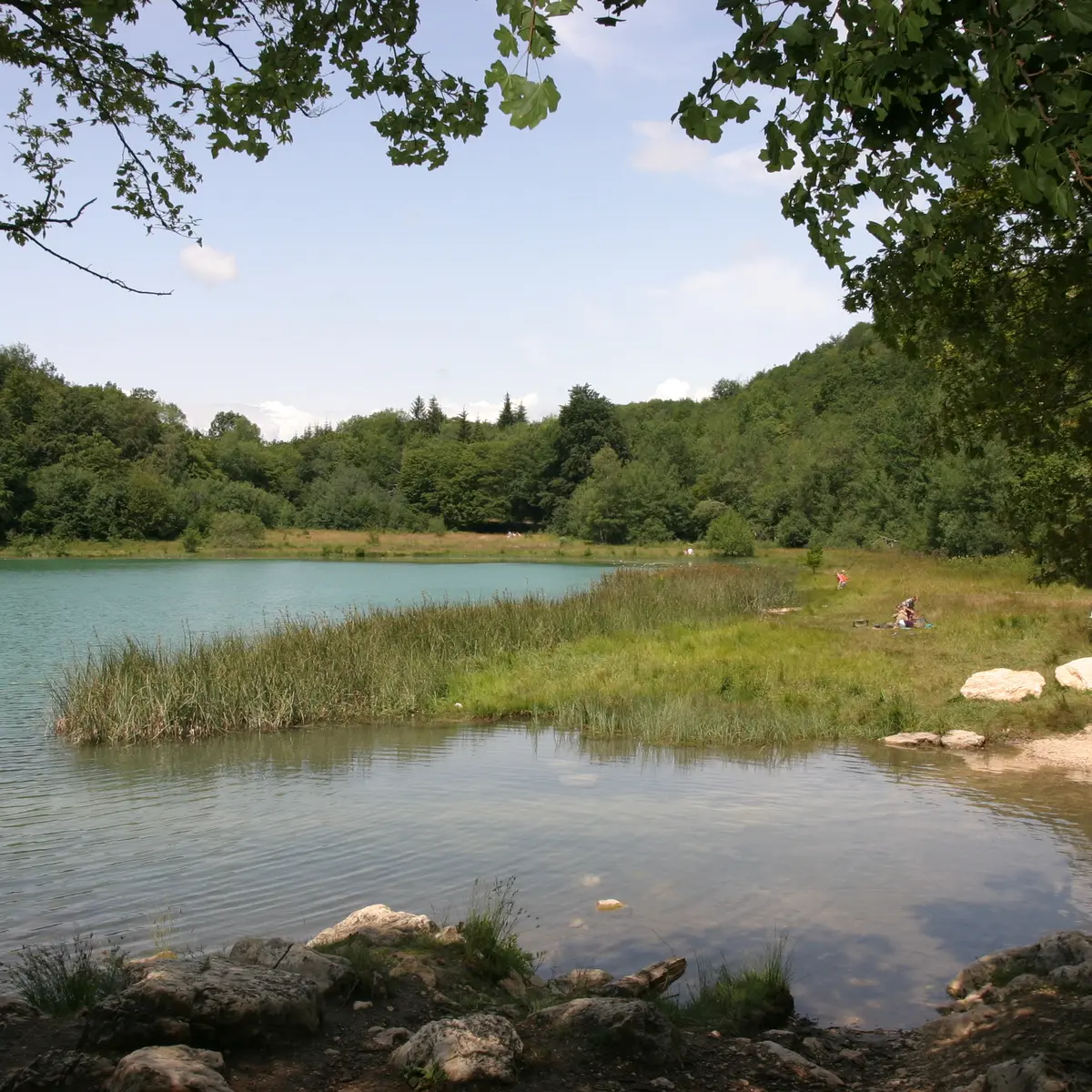 Lac d'Ambléon