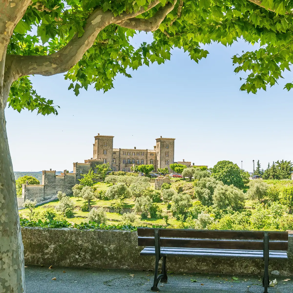 Le Château du Puy