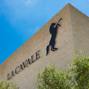 Atelier Ampélographie : de la vigne au vin à La Cavale - Cucuron_Cucuron