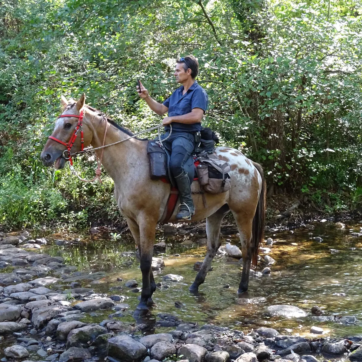 Cavalier dans la rivière