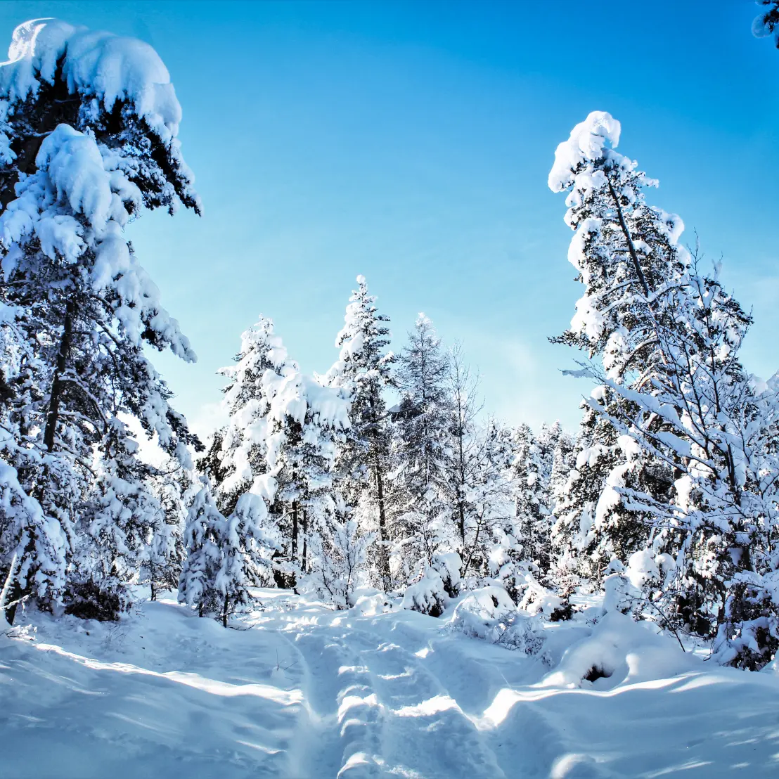 Raquettes Saint Philippe