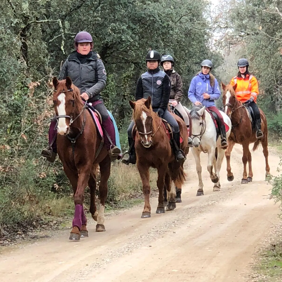 Les Cavaliers du Ventoux