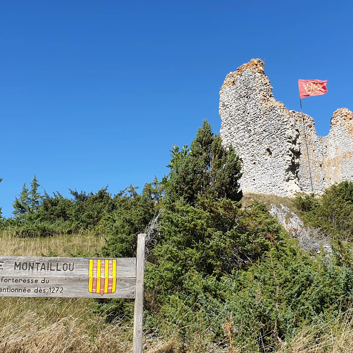 Vue sur les ruines du château