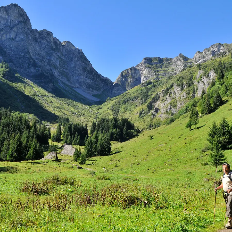 Cubourré, Abondance