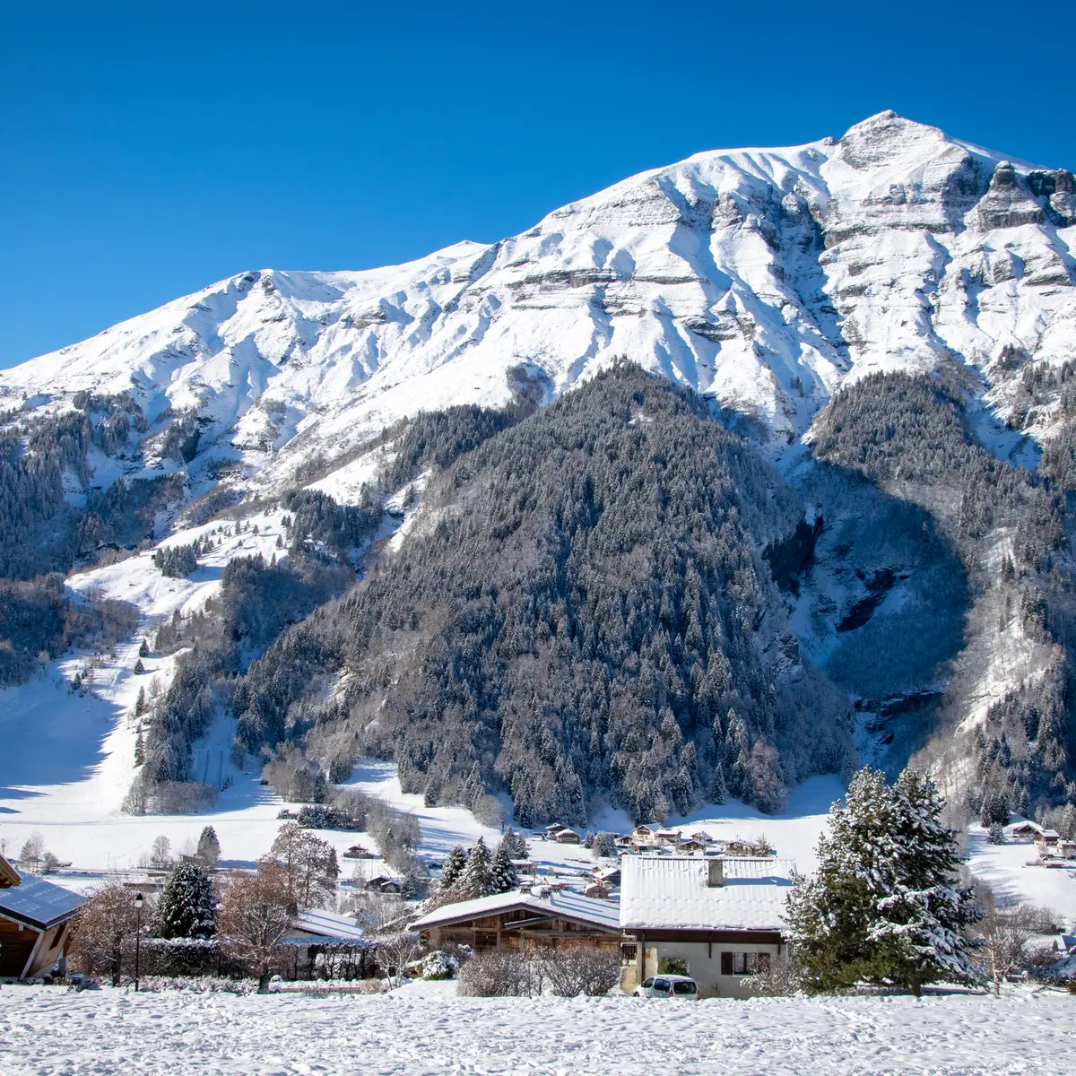 Une vue splendide sur le Mont-Joly
