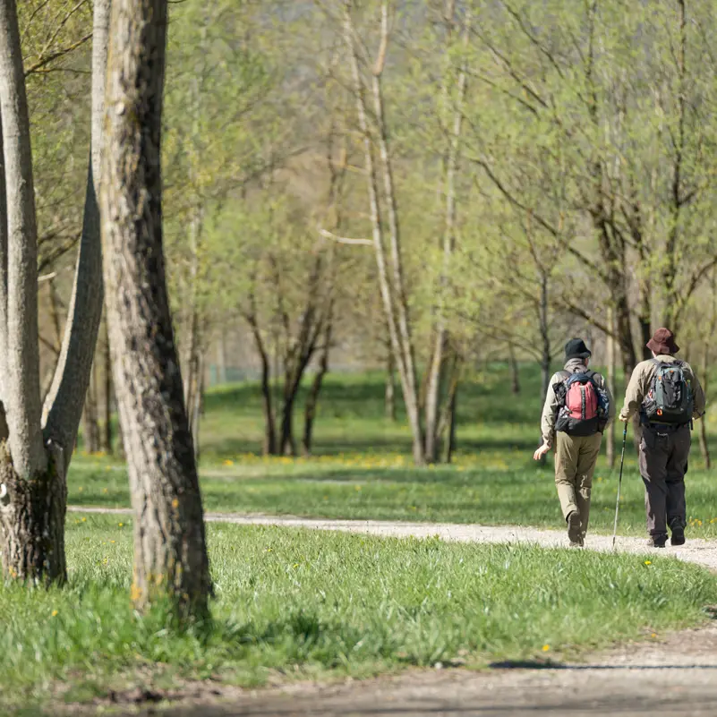 en chemin...