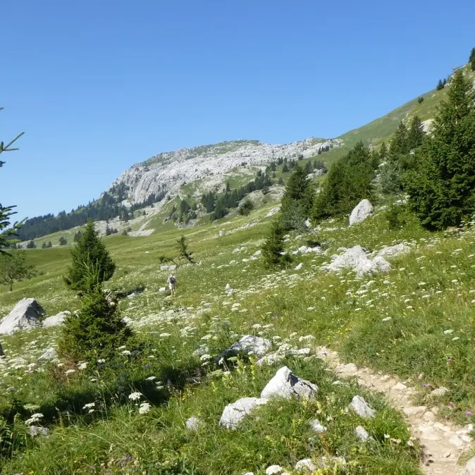 Randonnée en famille les marmottes