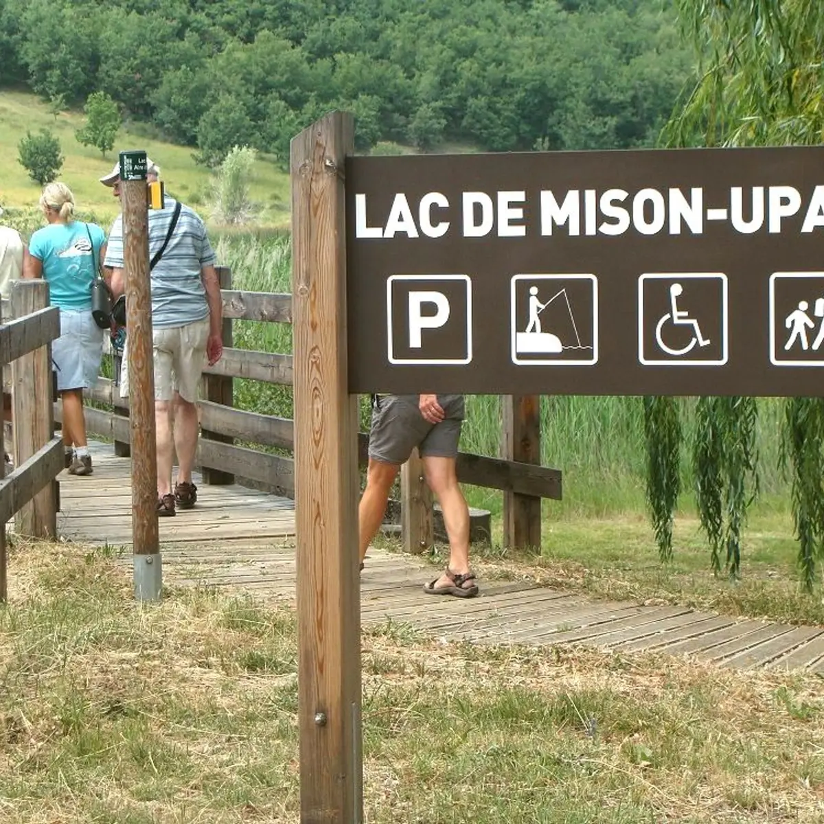 Sur les rives du lac de Mison