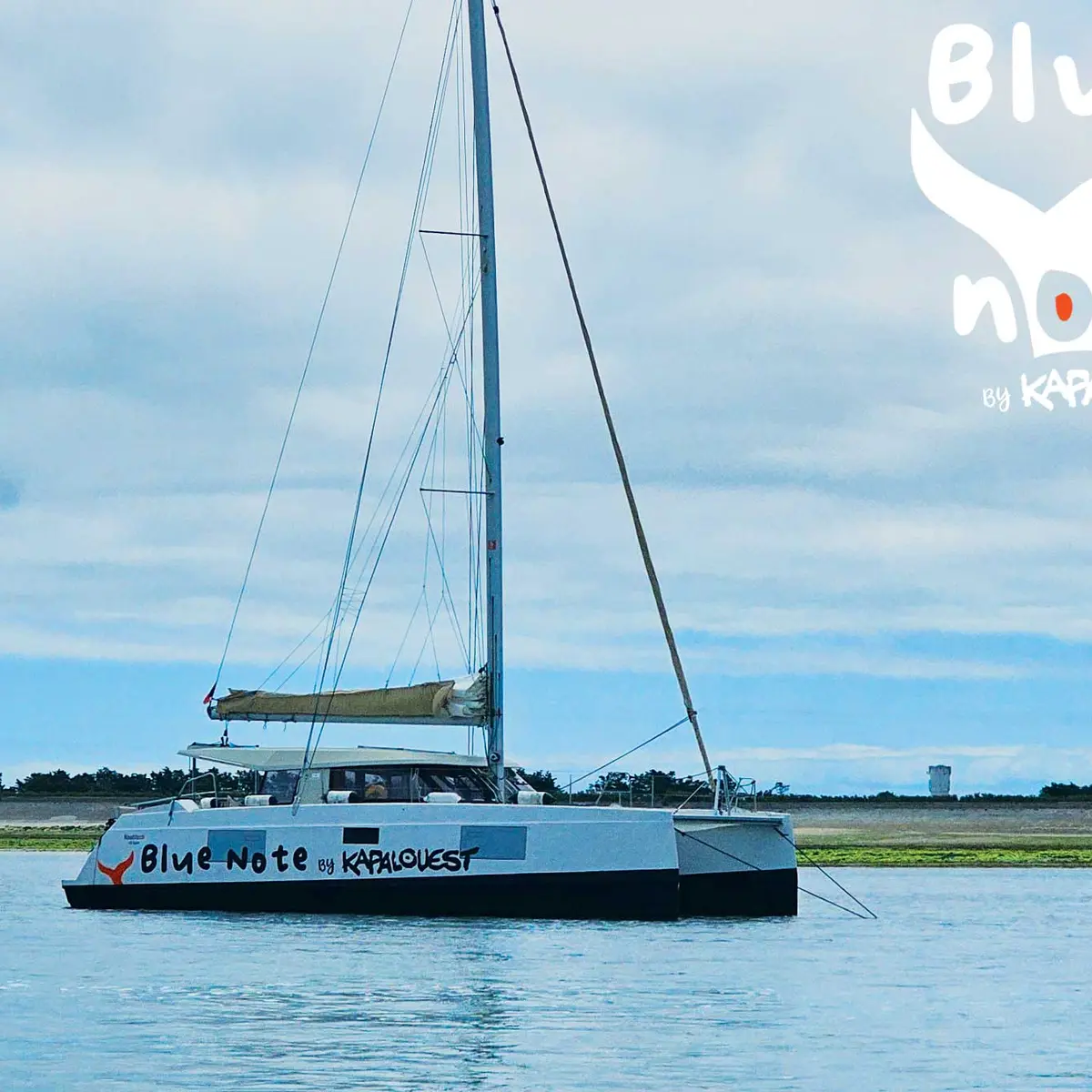 Sortie Demi-journée sur un catamaran à voile de Blue Note by Kapalouest