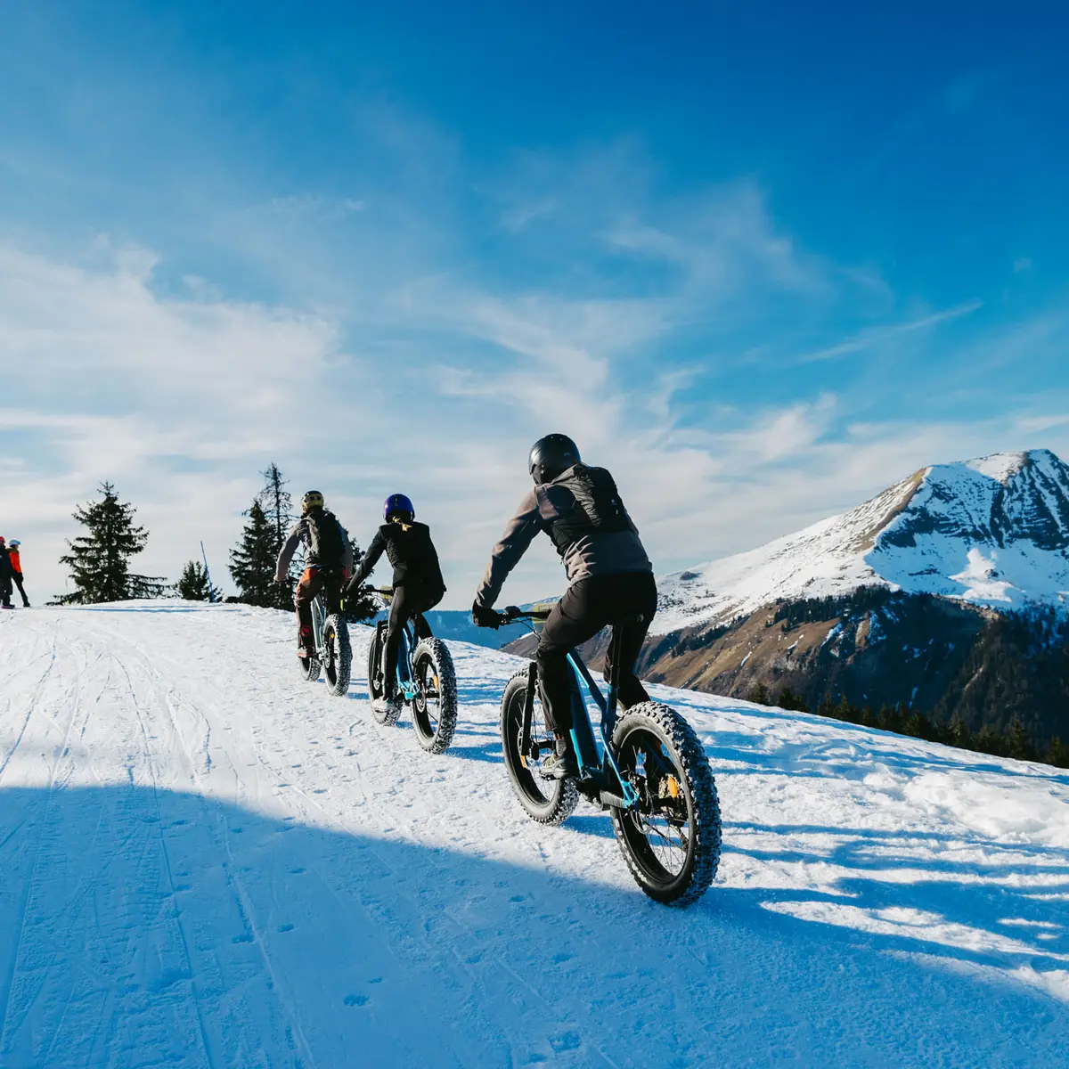 VTT ELC