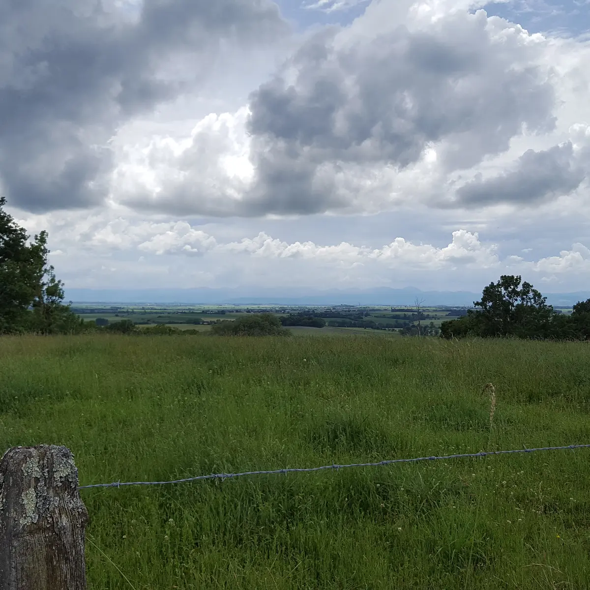 Sur les traces d'Adélaïde d'Orléans