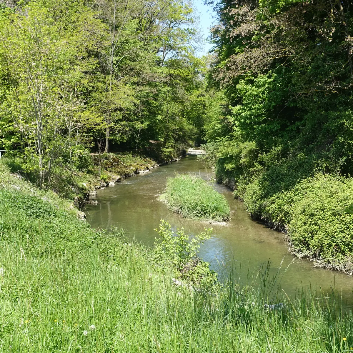 Bord du Foron dans le Domaine de Guidou