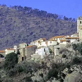 La Chapelle Notre-Dame-du-Mont. C'est une chapelle située sur la route de La Madone du Mont, à Breil-sur-Roya.