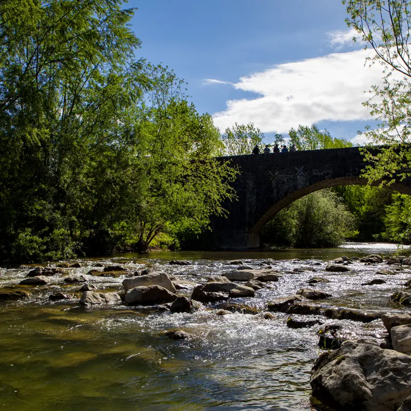 Usses - Pont de Frangy