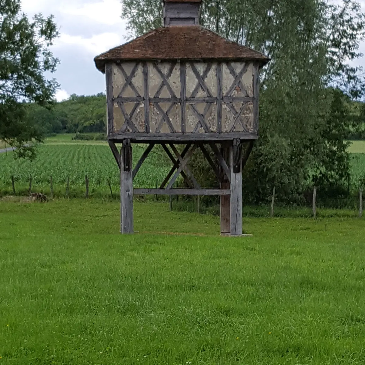 Sur les traces d'Adélaïde d'Orléans