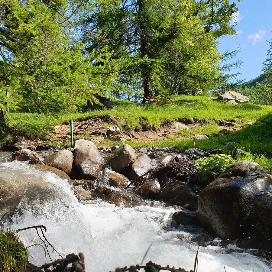 Cours d'eau claire passant le long d'un sentier de forêt, terre et cailloux, montagnes luxuriantes en arrière-plan