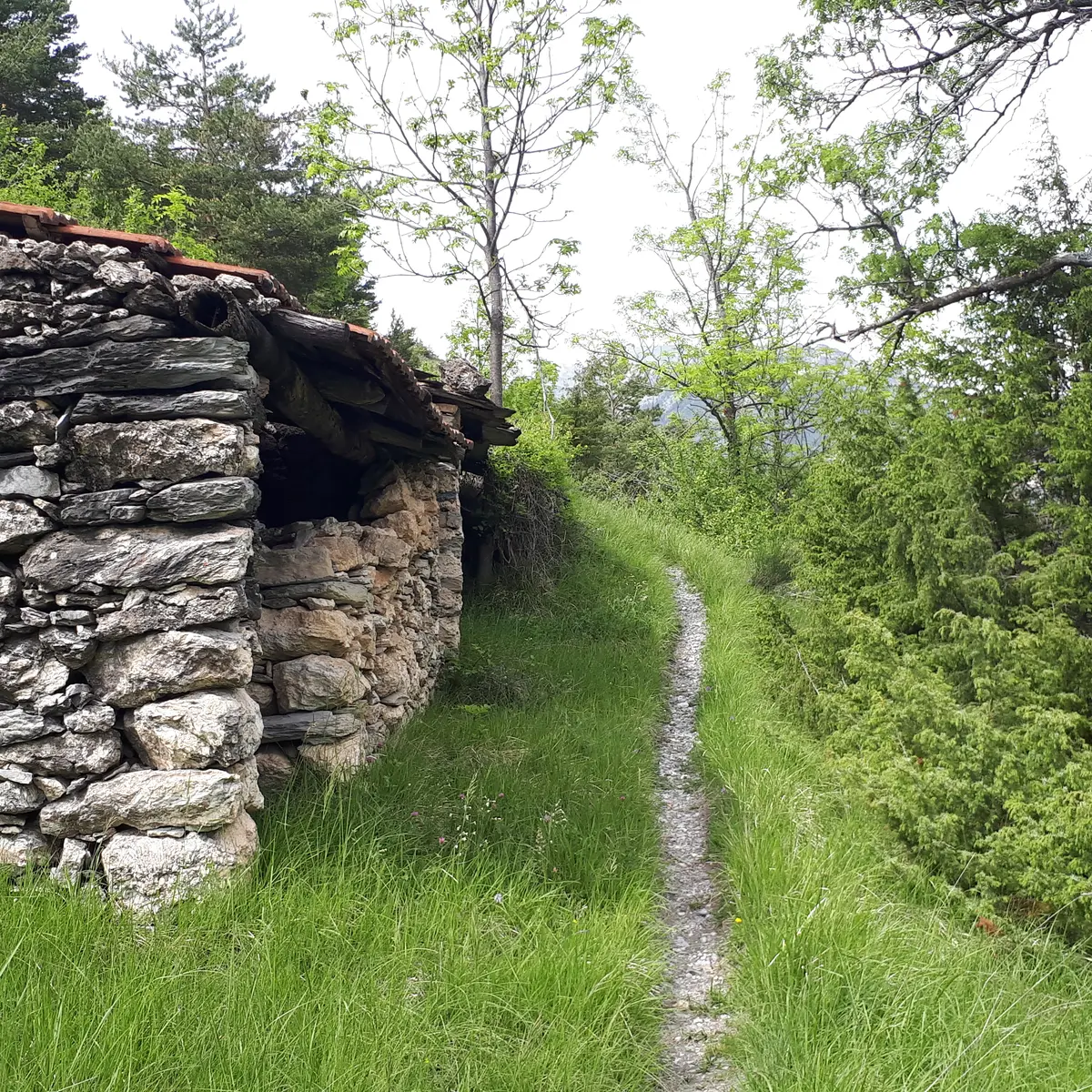sentier de randonnée
