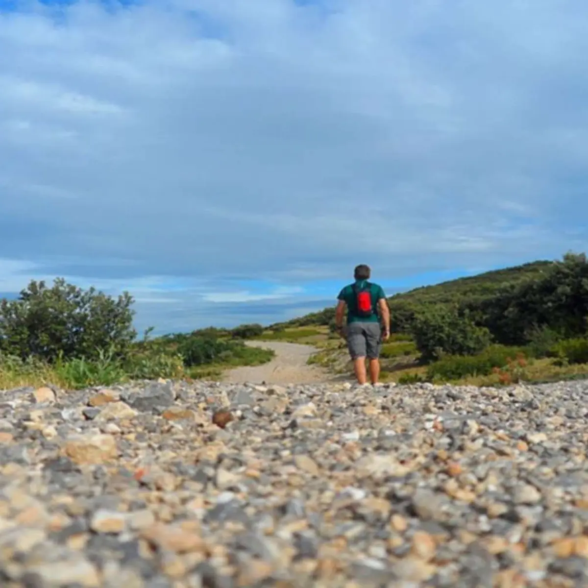 A la découverte des oiseaux des Alpilles