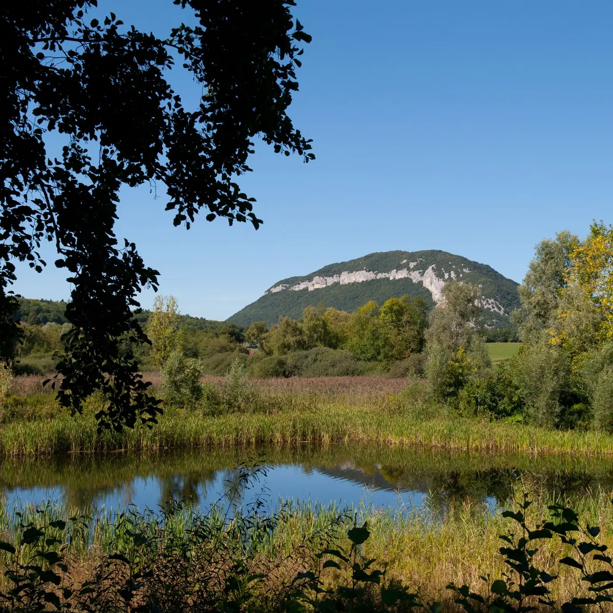 marais Poisy