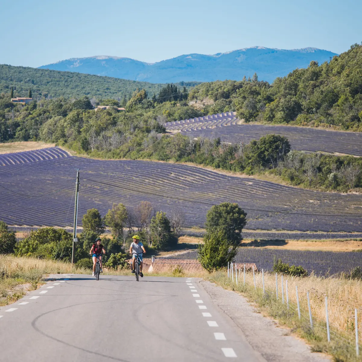 Lavande et vieilles pierres