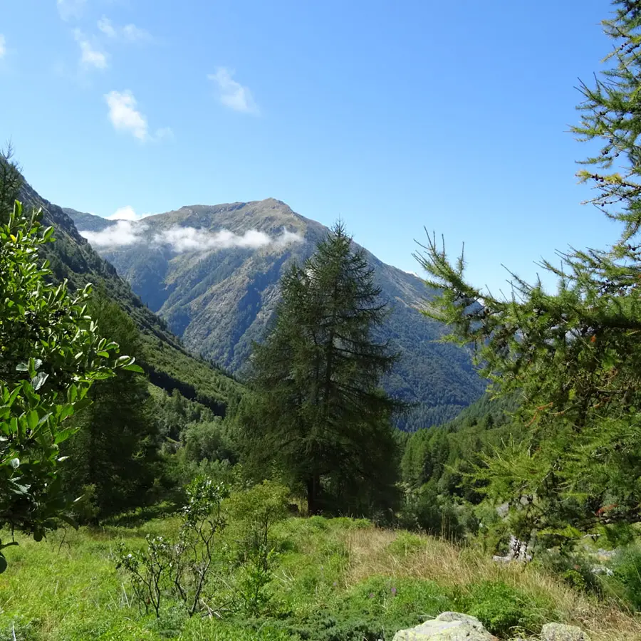 Itinéraire de randonnée jusqu'à la Cabane de Peyron roux
