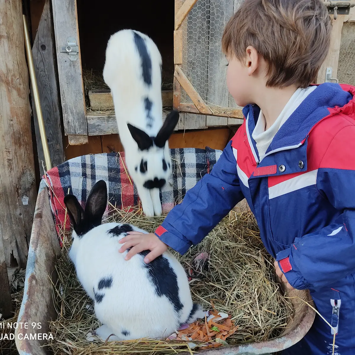 Kikinou et Maxou