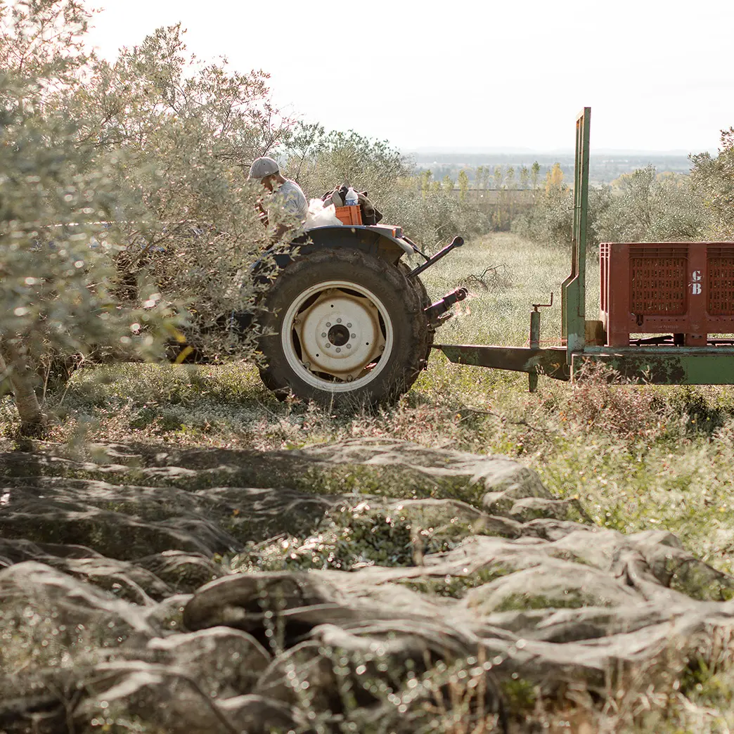 Domaine Jòlibois_Aureille