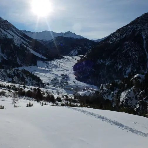 L'authentique au sauvage