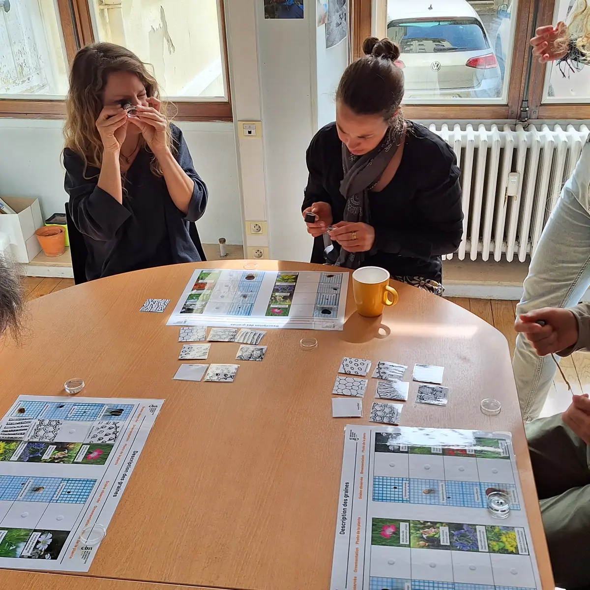 En pleine observation