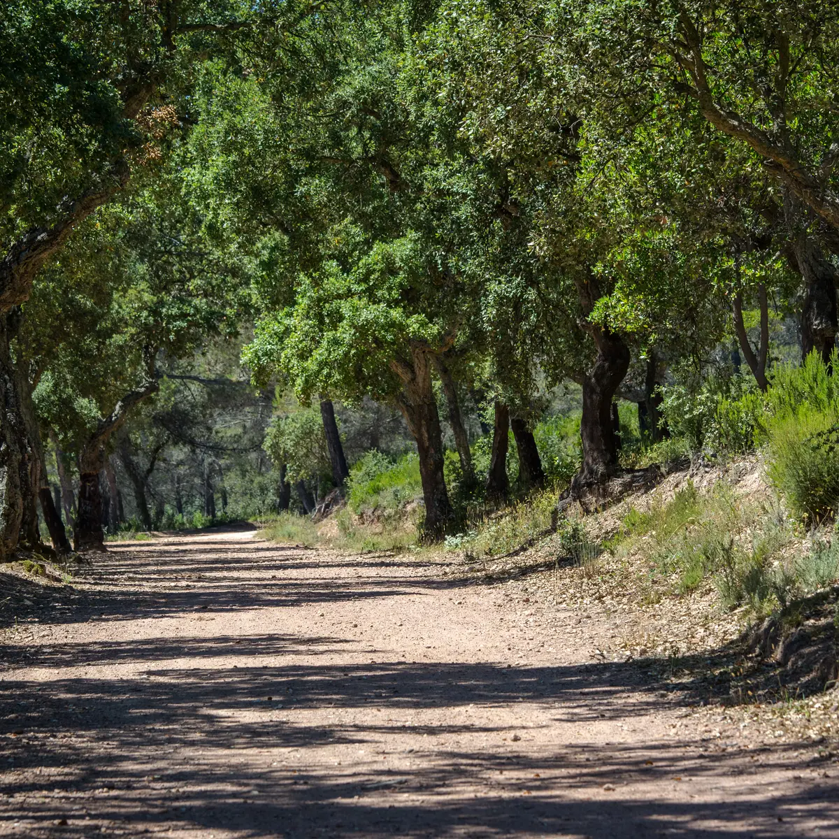 Espace nature